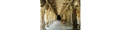 நாகை நீலதயாட்சி - தமிழ்நாடு
